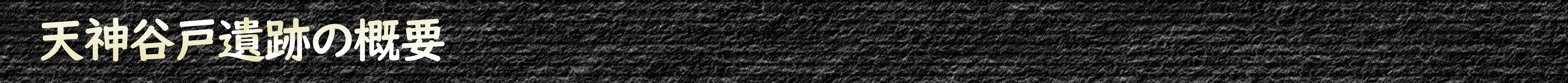 天神谷戸遺跡の概要