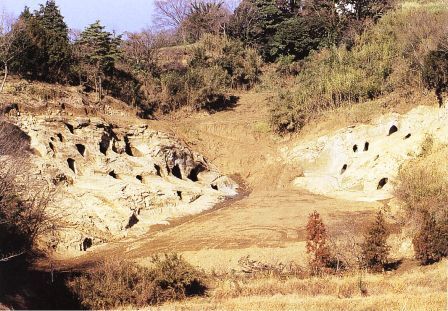 大日ヶ窪横穴墓群全景の写真