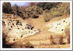 大日ヶ窪横穴墓群全景の写真