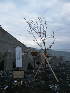 茶屋地区　道祖伸の写真