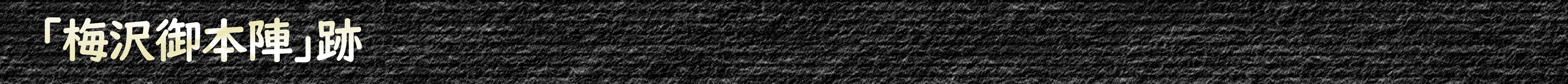 梅沢御本陣跡
