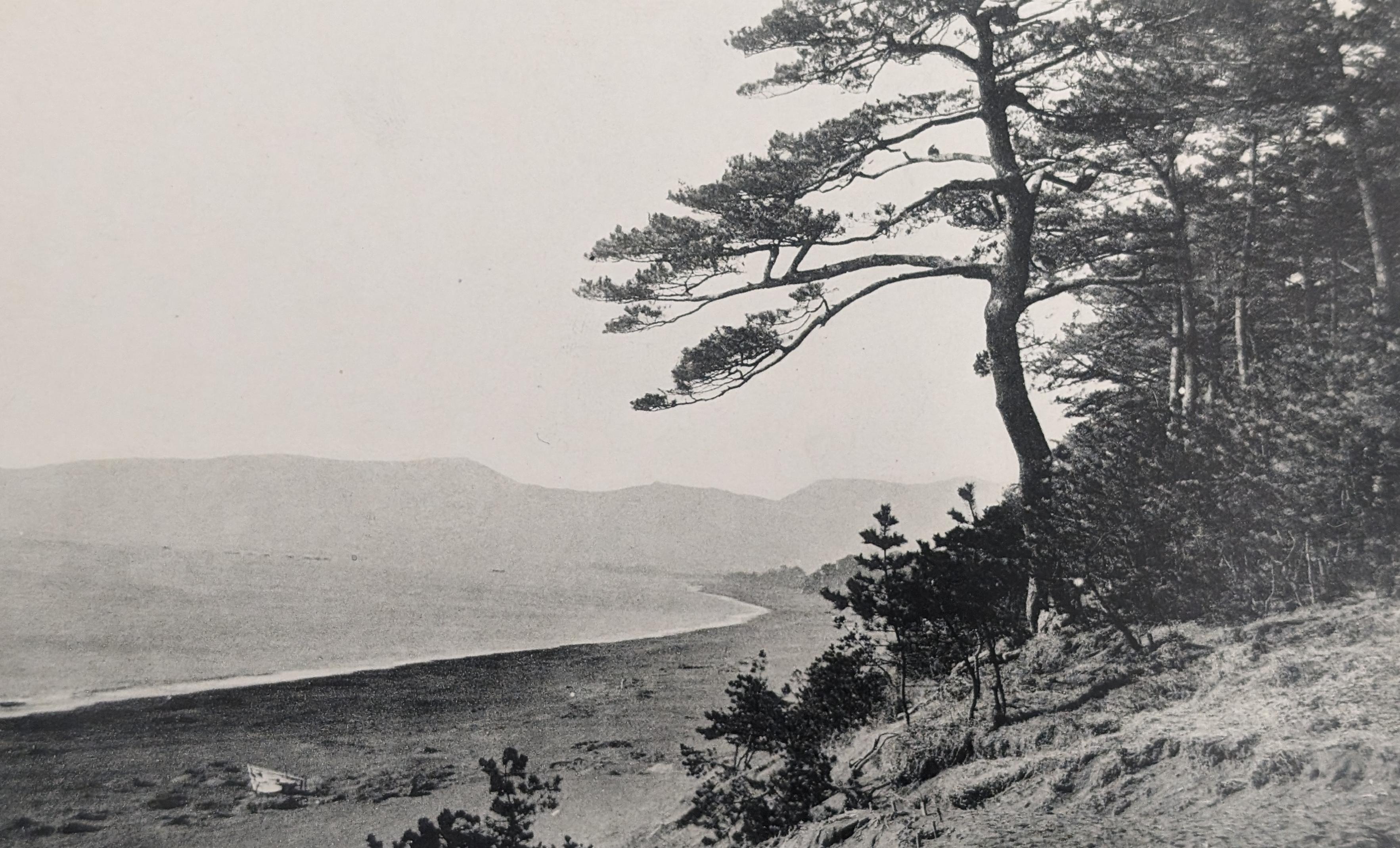 昭和初期の袖が浦海岸の写真