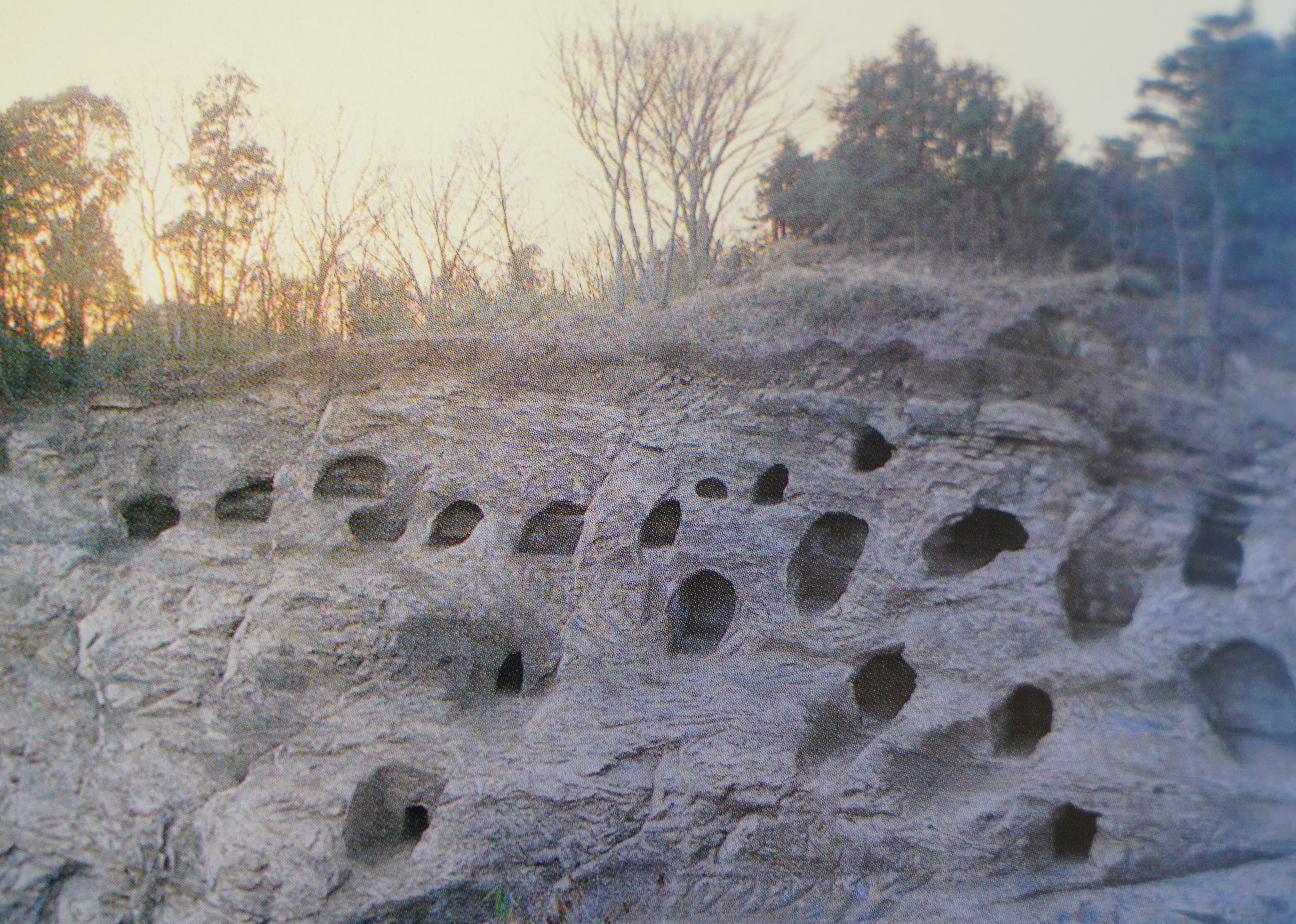 大日ヶ窪横穴墓群の写真