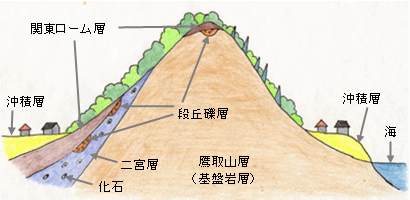 二宮町の地層断面図