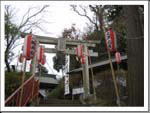 神社参道