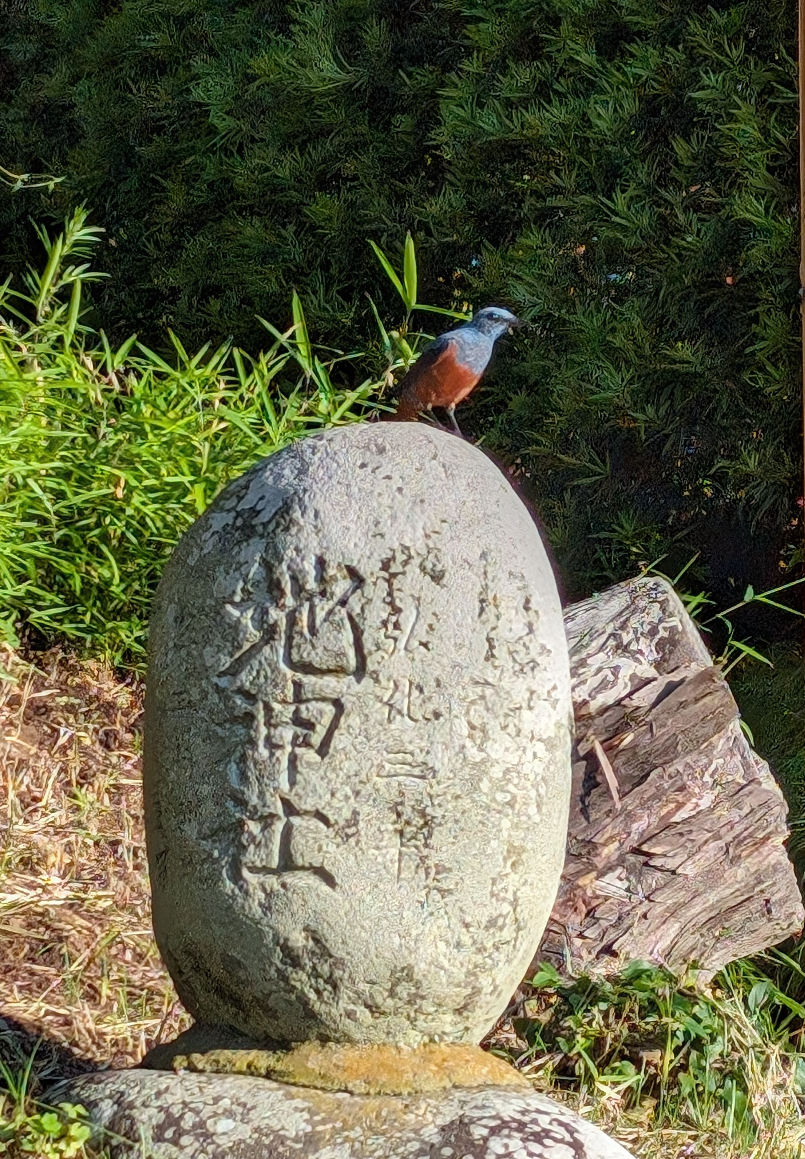 地神塔