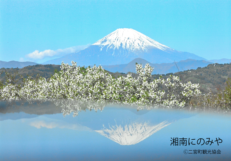 逆さ富士
