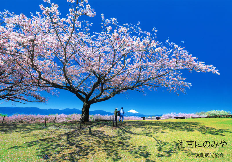 霊峰彼方