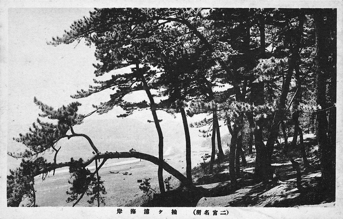 袖が浦海岸