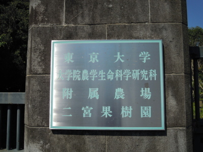 東京大学果樹園跡地の門柱