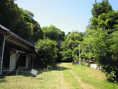 東京大学果樹園跡地の通路