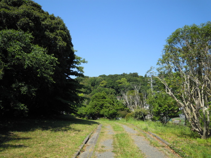 果樹園跡地（道1）