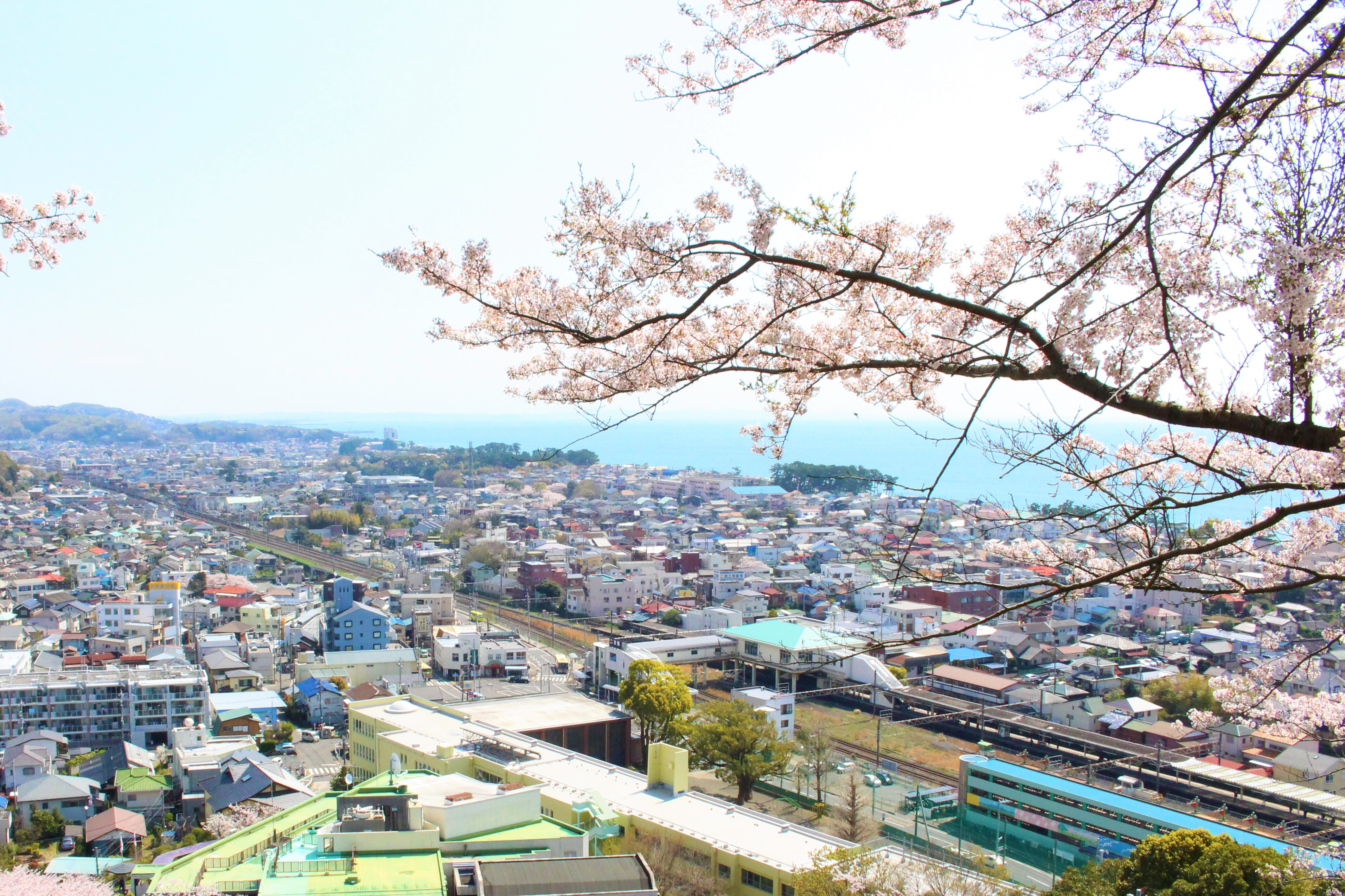 吾妻山登り口から二宮駅を臨む