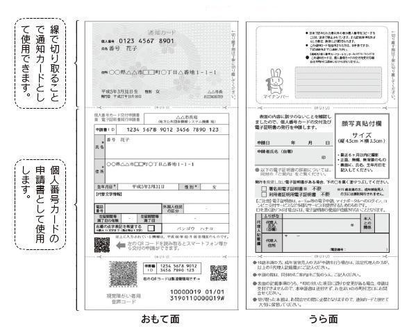 送付される通知カード表面、裏面