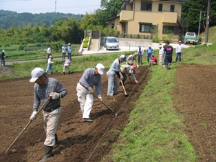 里山再生ボランティア