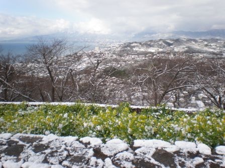 吾妻山公園　平成26年2月5日撮影の雪景色3
