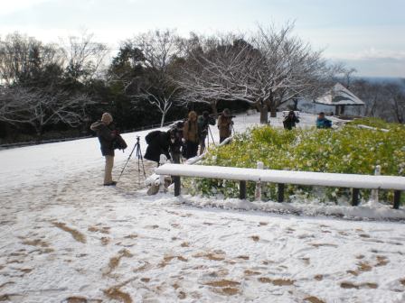 吾妻山公園　平成26年2月5日撮影の雪景色4