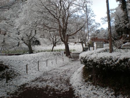 吾妻山公園　平成26年2月5日撮影の雪景色5