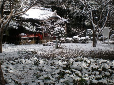 吾妻山公園　平成26年2月5日撮影の雪景色6