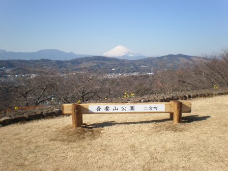 吾妻山公園　平成27年1月5日撮影の写真