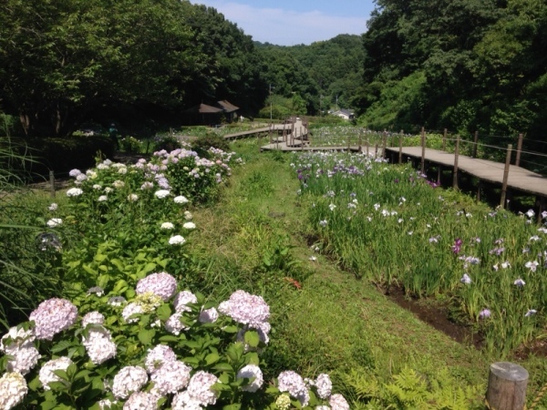 せせらぎ全景