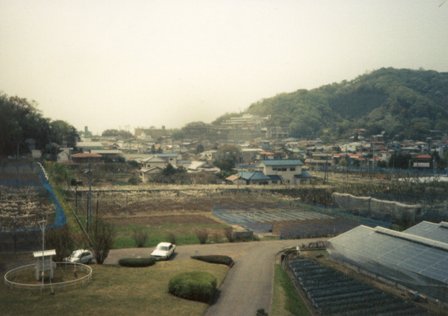 役場方面の風景