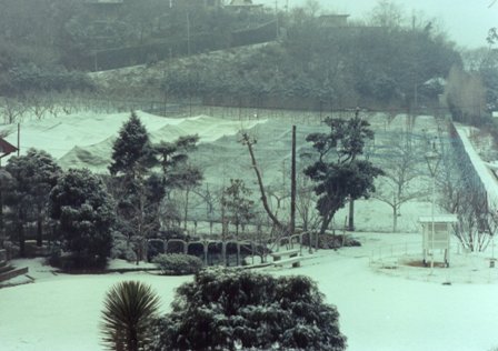雪化粧した園芸試験場の写真