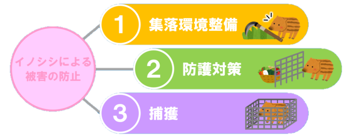 イノシシによる被害の防止