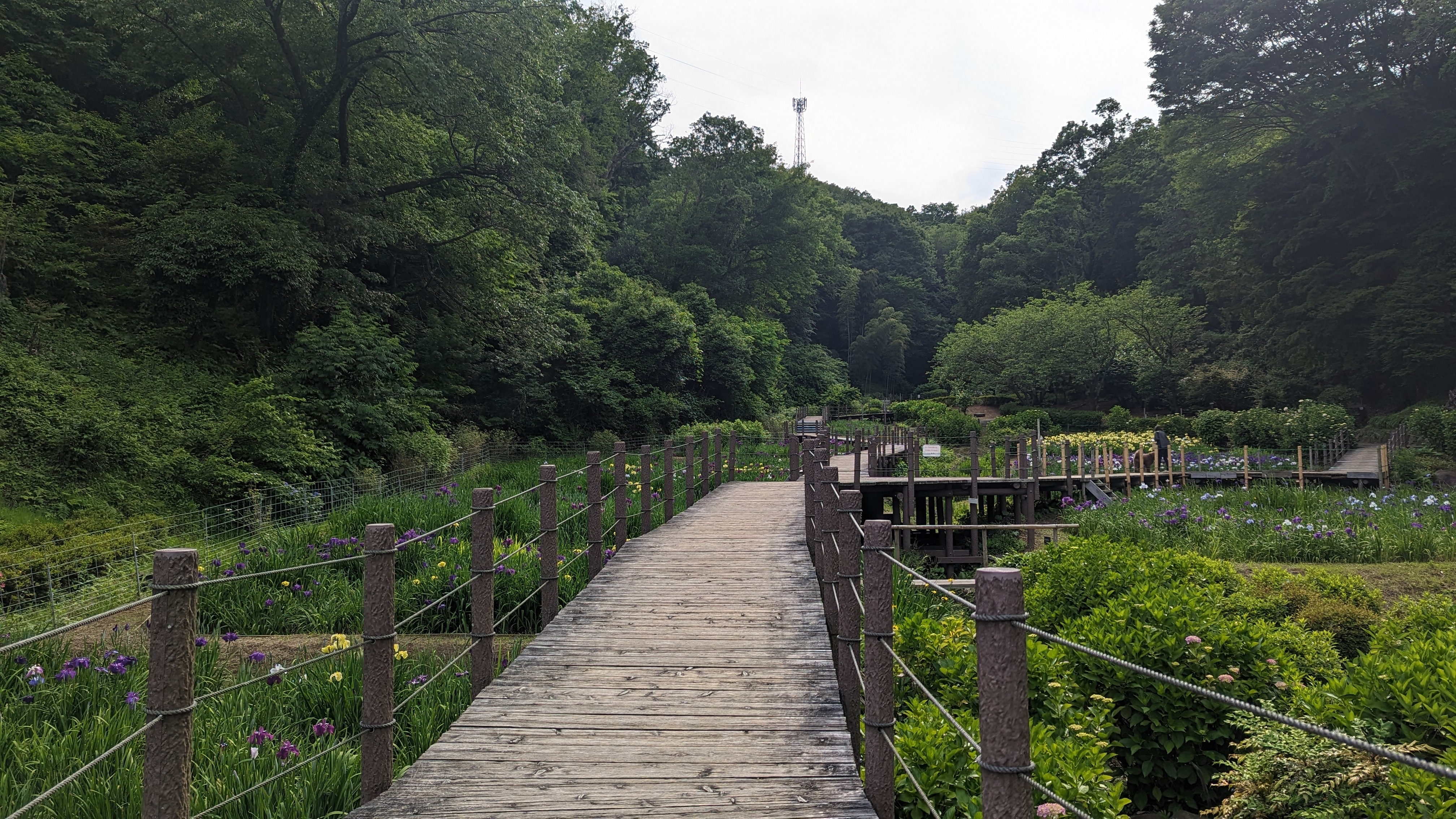 せせらぎ公園20230525-1