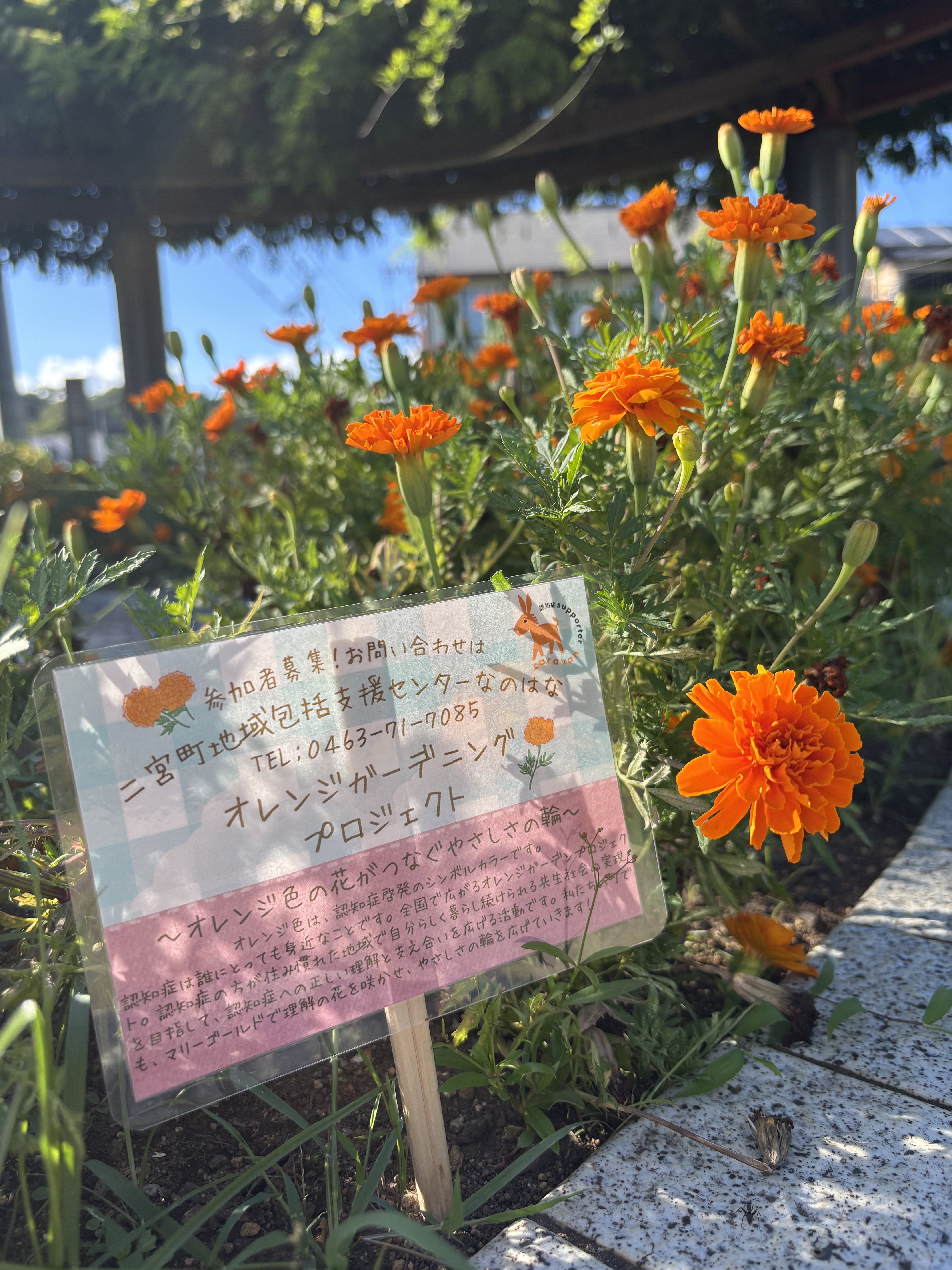 オレンジガーデニングプロジェクト植え込み用立て札