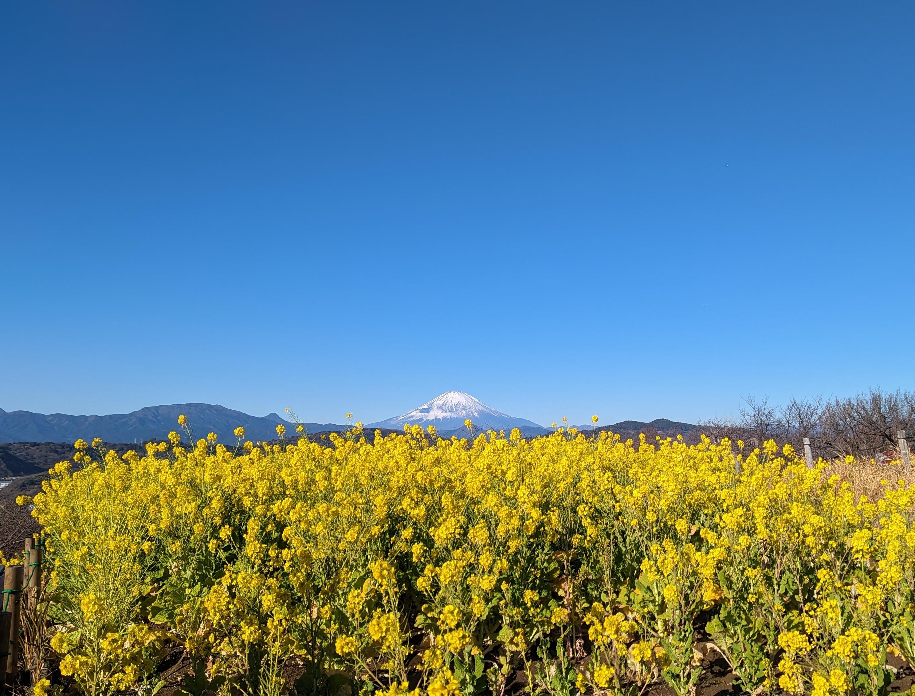 令和6年1月12日