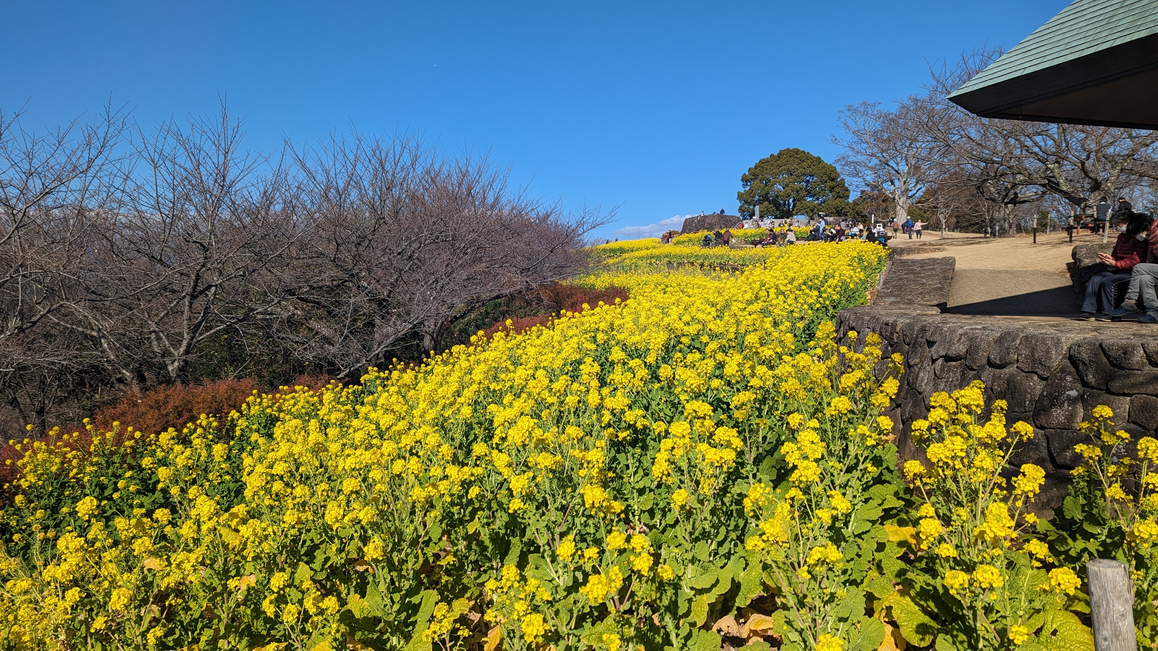 令和6年1月1日