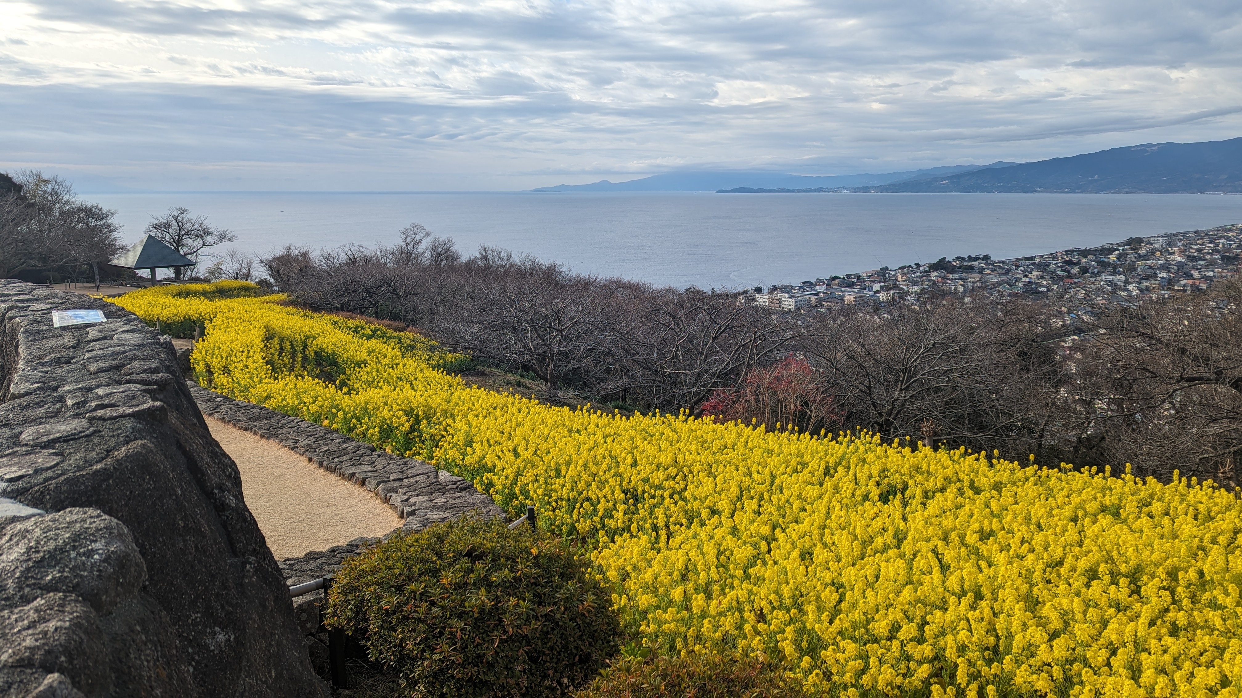 令和6年1月19日