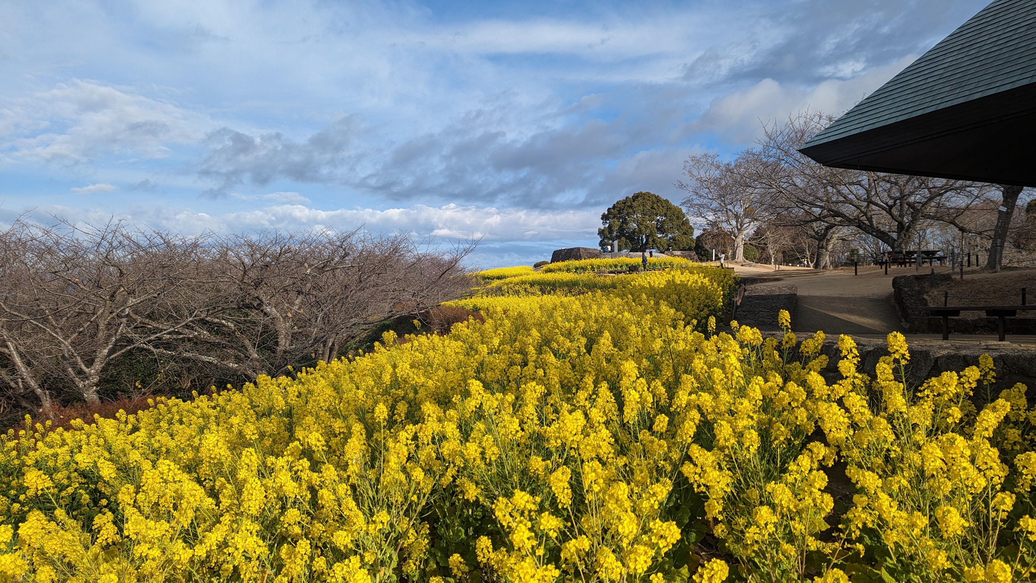 令和6年1月19日2