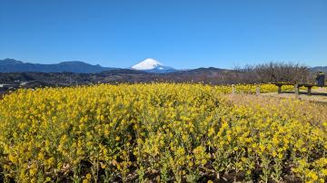 令和6年1月26日2