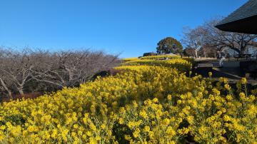 令和6年1月26日3