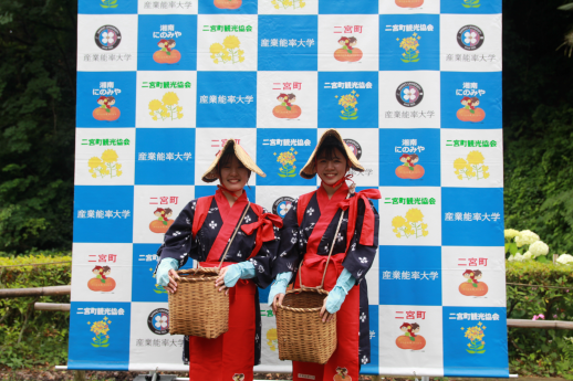花がら摘み2