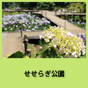 せせらぎ公園