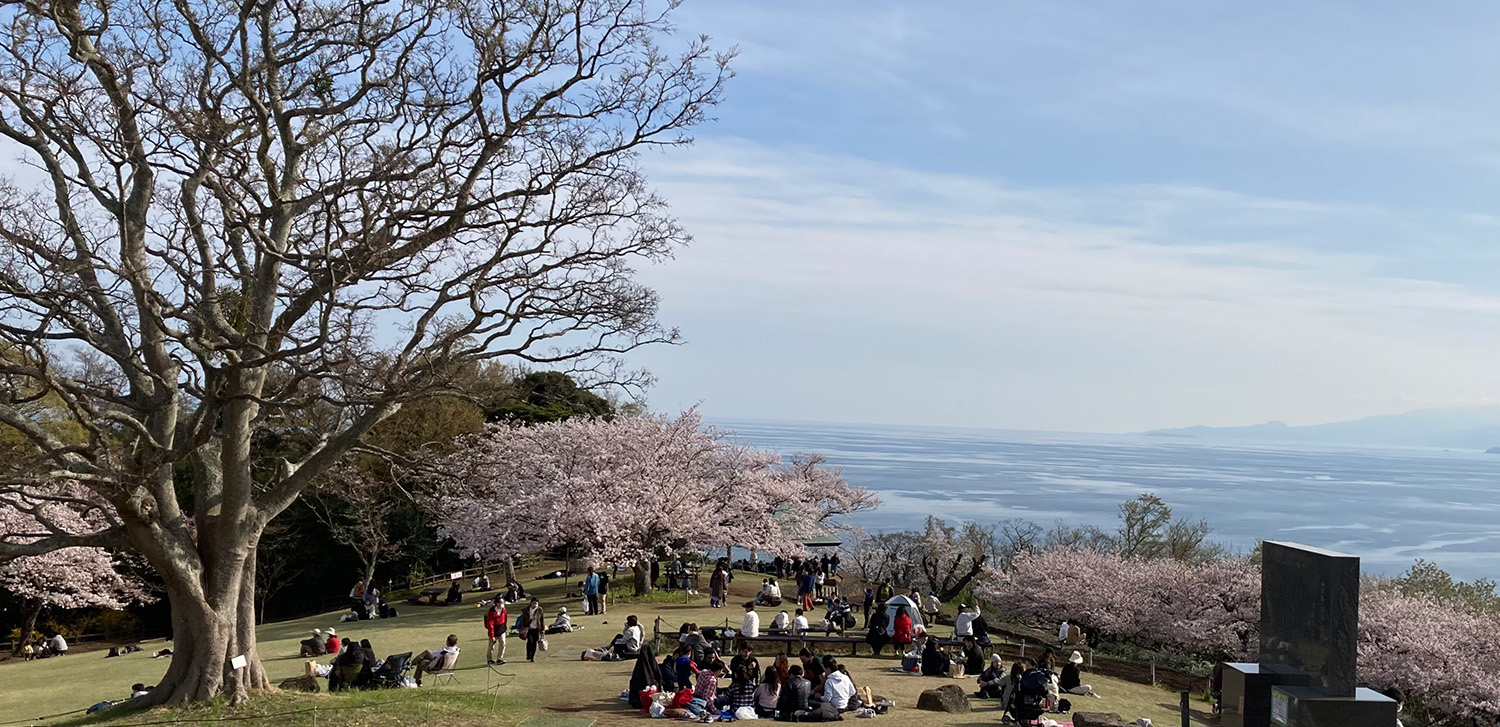 吾妻山公園の様子2