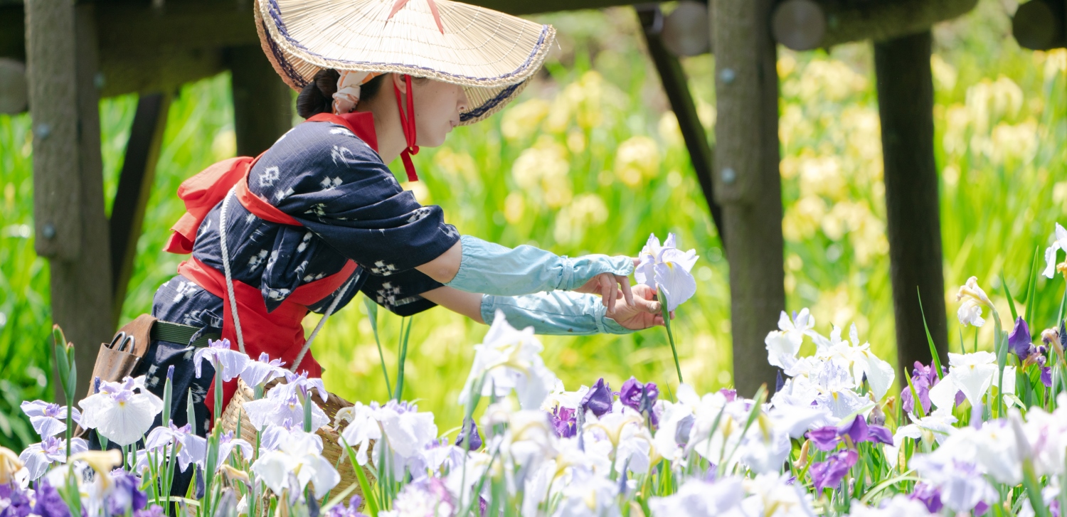 花摘み娘(せせらぎ公園)