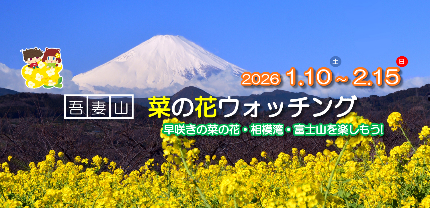 菜の花ウォッチング