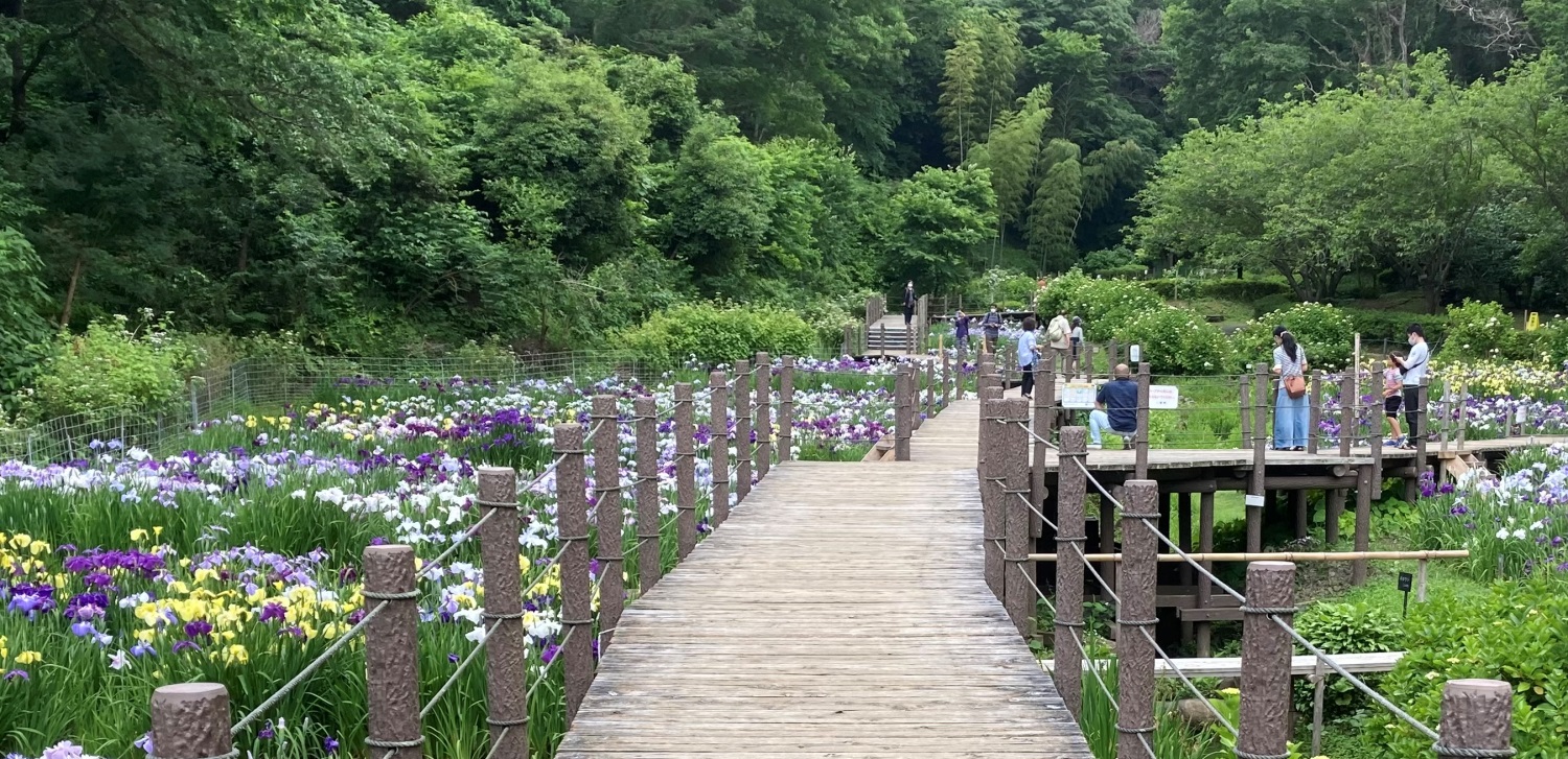 せせらぎ公園
