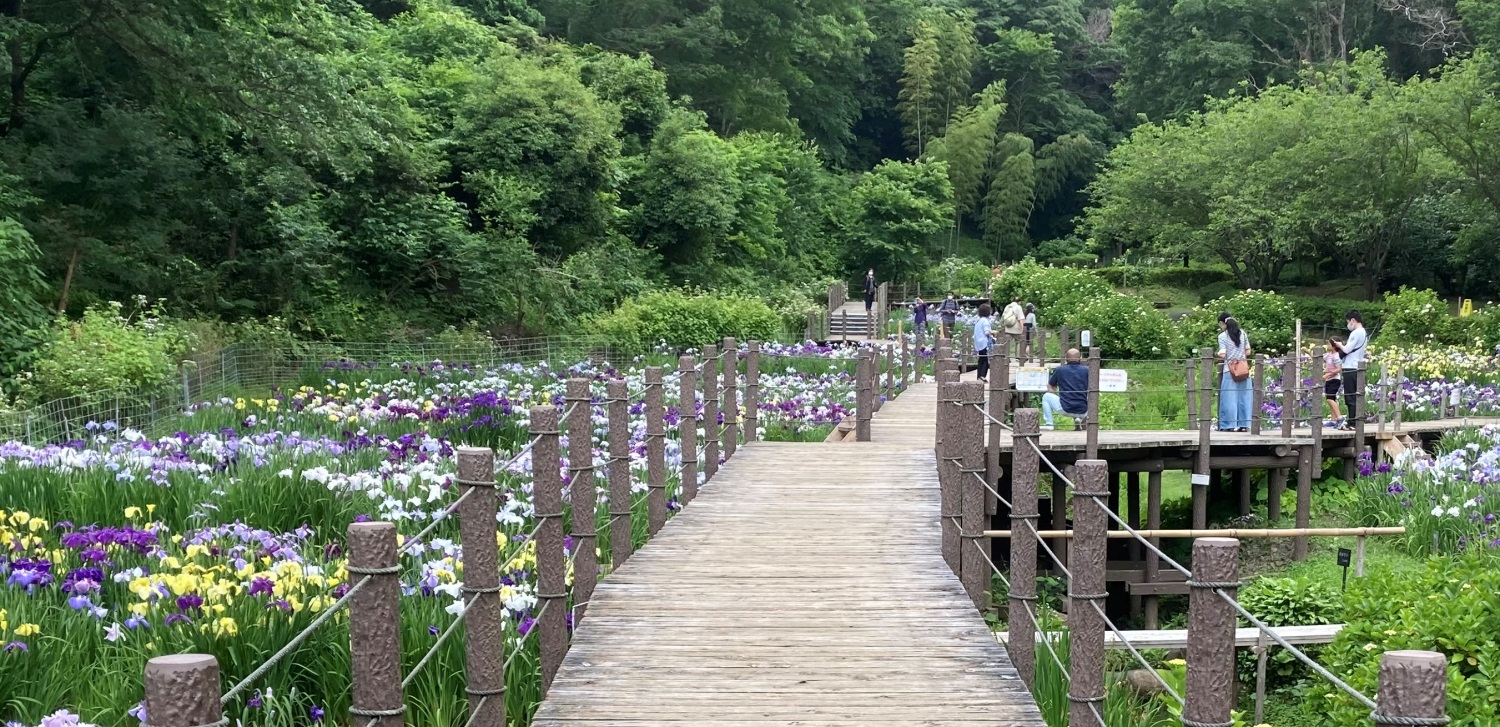 せせらぎ公園