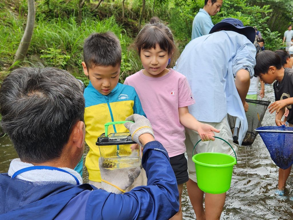 観察2