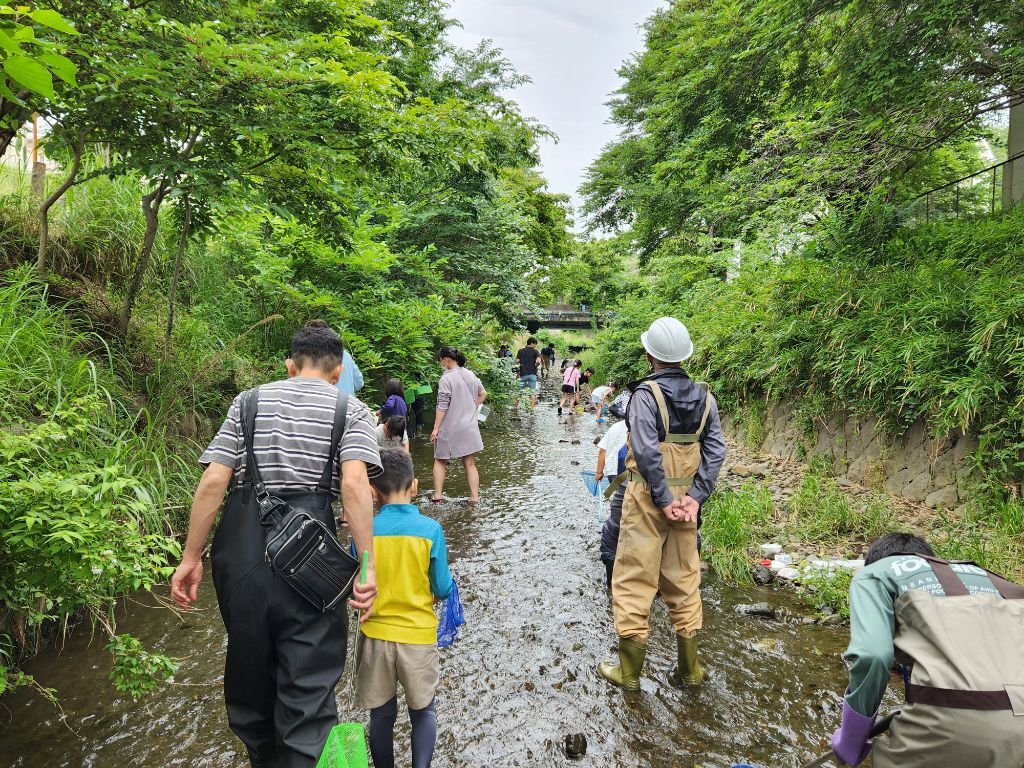観察スタート