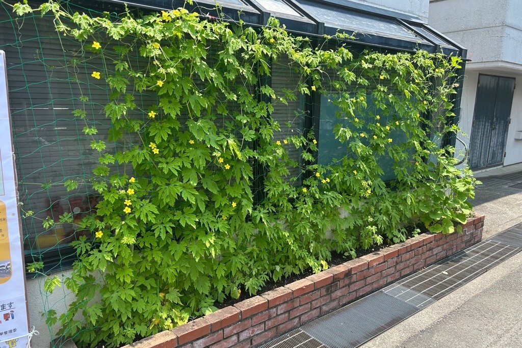 7月2日⑴