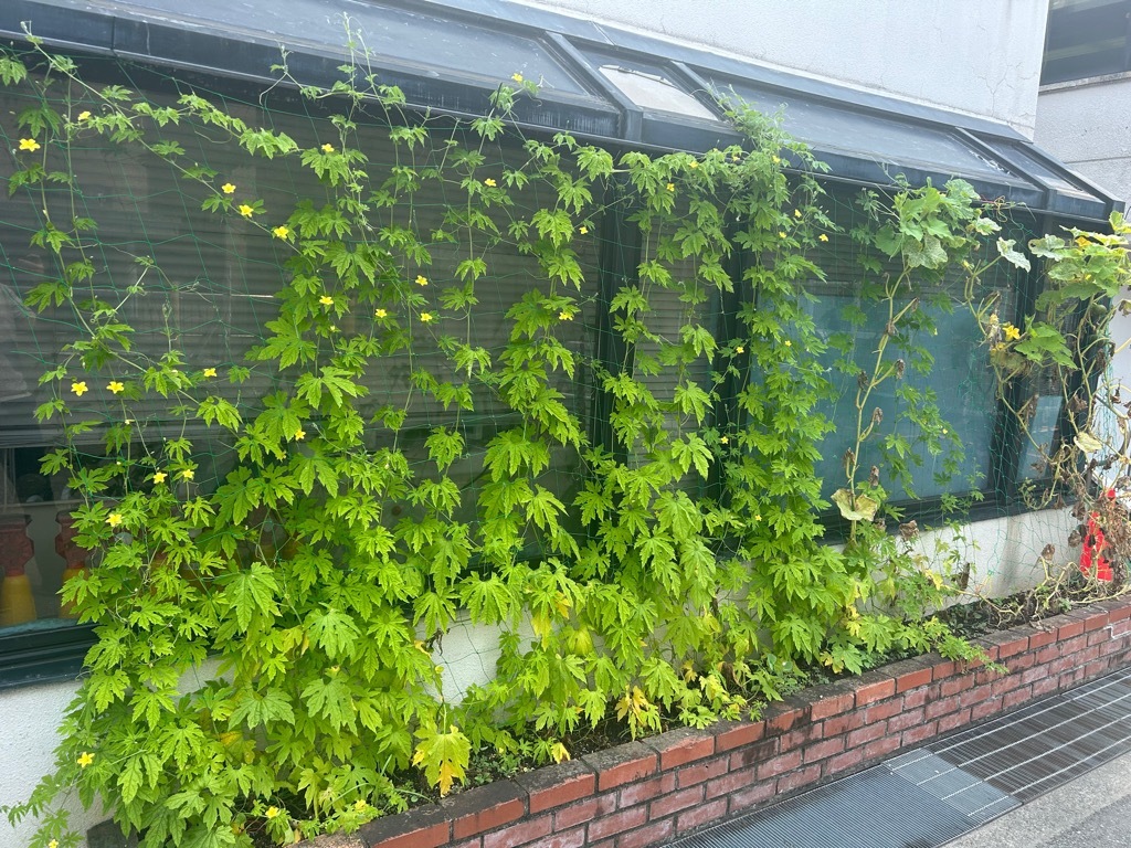 07.17