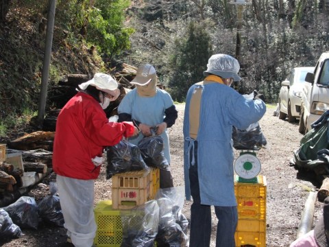 木炭を袋に小分けにしている様子