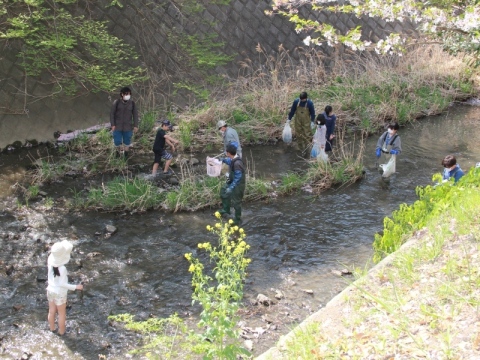 葛川の清掃2