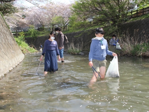 葛川の清掃1